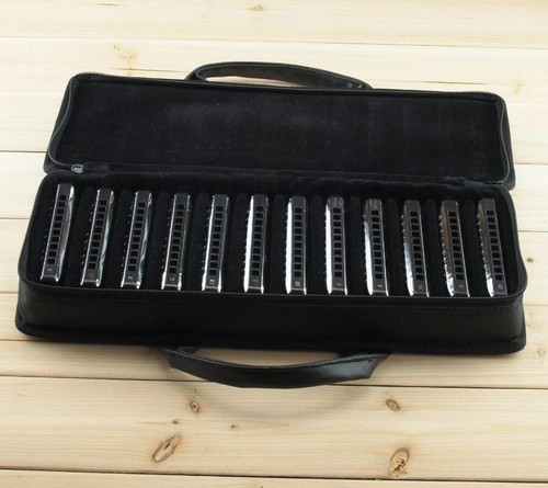 Easttop 10hole harmonica set - 10hole,