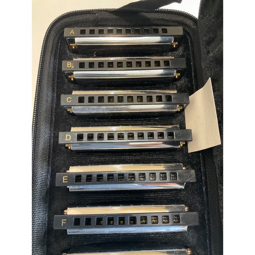 Hohner bluesband international - hohner,